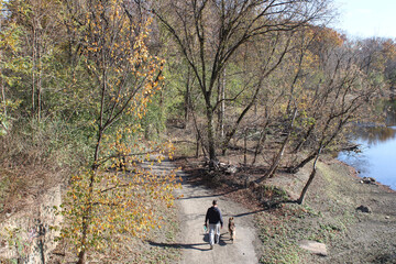 Obraz premium View from above of a man walking his dog on the Des Plaines River Trail on the banks of the Des Plaines River in autumn at Dam Number 4 Woods in Park Ridge, Illinois