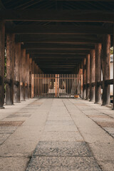 Endless wooden roads.