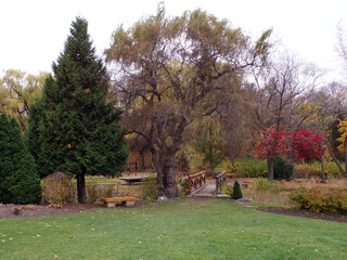 Fall landscape with pond in the park