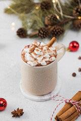 Christmas cocoa with small marshmallows and cinnamon