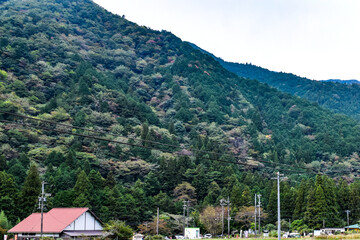 岐阜県・関市のモネの池を訪ねて