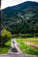 岐阜県・関市のモネの池を訪ねて