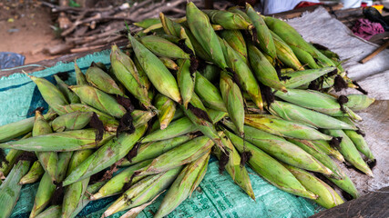 green corn at free market fair
