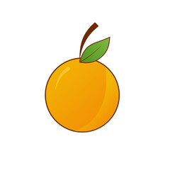 simple illustration of a picked citrus fruit