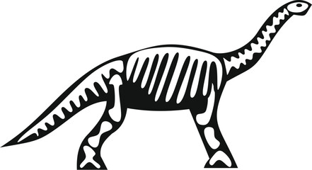 Side view of a brontosaurus dinosaur skeleton walking, isolated on white background © anatolir