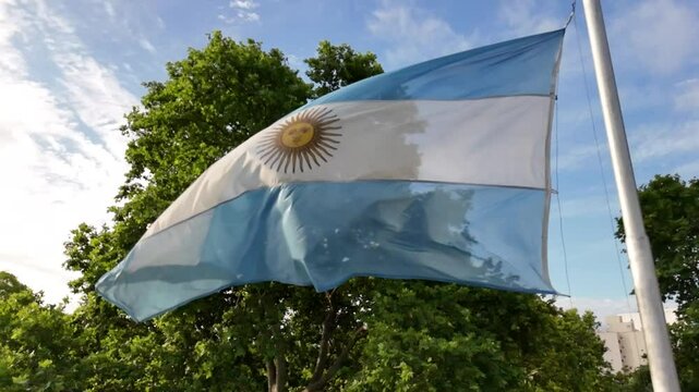 bandera argentina flameando sobre sol, cielo azul	