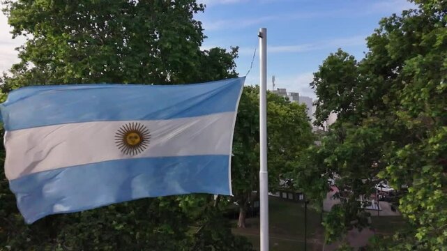 bandera argentina flameando sobre sol, cielo azul	