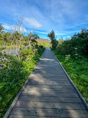 Thingvellir, Iceland - August 12, 2024: Stairs and boardwalks in the continental divide in Thingvellir National Park in Iceland
