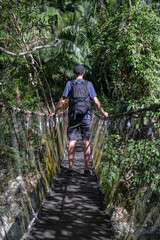 Obraz premium Young man with backpack standing on a suspension bridge surrounded by tropical forest. 