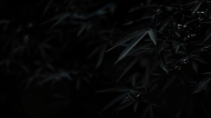 Dark black calm background offers a serene and mysterious atmosphere. A peaceful backdrop that exudes an air of elegance