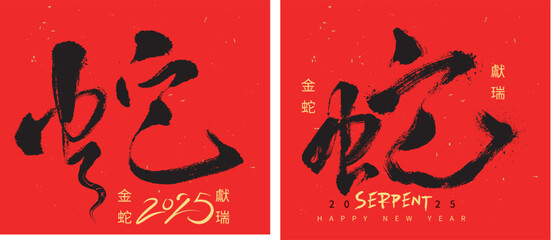 Hand Write Chinese calligraphy Art. Translation: 2025 Happy Snake New Year. Vector illustration. No.F