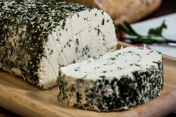 A big block of cheese that everyone likes to eat.