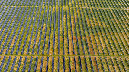 Aerial view of solar panels, photovoltaics, install on ground on a solar farm.  	
