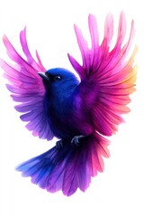 Obraz premium Colorful bird with vibrant wings, white isolated background