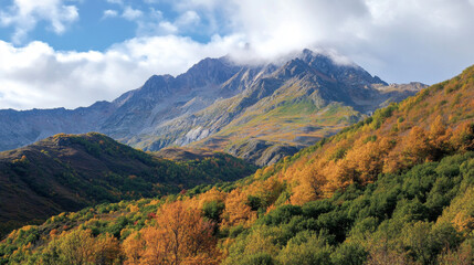 Fototapeta premium Autumnal Mountain Majesty: Golden Forest, Majestic Peaks, Cloud-Kissed Summits, Breathtaking Panorama