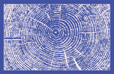 Decorative leaf sketch and wood block prints. Monotone pink and blue botanical tree rings and leaves impression print.