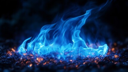 The Enchantment of Dancing Blue Flames in the Darkness