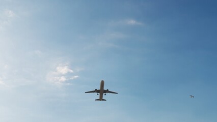 ULTRA HD. Airplane flies in blue sky. Travel. Airplane takes off against the background of blue sky.	
