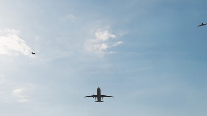 ULTRA HD. Airplane flies in blue sky. Travel. Airplane takes off against the background of blue sky.