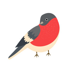 Bullfinch. Winter and autumn bird. Vector illustration