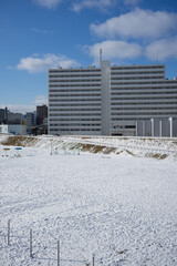 雪が積もった河川敷