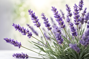 Obraz premium lavender flowers isolated on white background, bunch of lavender, bouquet of lilac