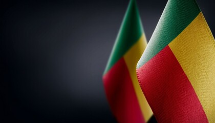 Obraz premium 小さなベナンの国旗と暗い背景。(Benin flag and dark background.) 