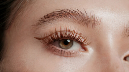 Obraz premium stylish minimalism, Light Brown mascara: a close-up shot of an eye adorned with vibrant Light Brown mascara on naturally long lashes