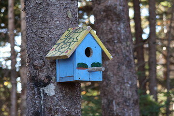 November 3, 2024 - Graves Island, Aspotogan