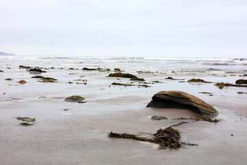 Breezy morning with lots of seaweeds amongst boulders at Tourmaline or Old Man's Surfing Park, San Diego, California
