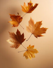 Fototapeta premium autumn leaves floating or flying isolated on biege background