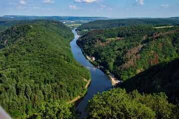 Green trees around the Saar River on a sunny spring aternoon in Germany.