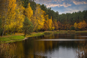Serene Autumn Landscape With Colorful Trees by a Calm Lake