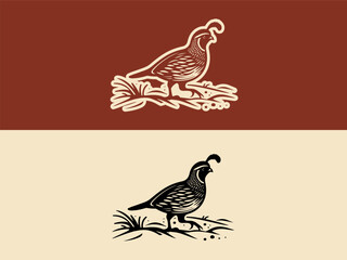 Gambel Quail bird hand drawn vector illustration