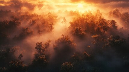 Misty Sunrise Over Lush Forest Landscape
