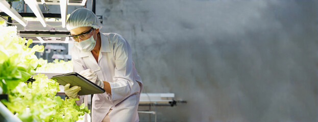 Caucasian agricultural scientist using tablet to inspect hydroponic lettuce in indoor farm. Modern image reflecting smart farming, agritech, and sustainable food innovation.