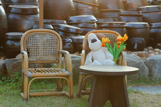 카메라 모델 : Canon EOS R10 
사진크기: 6000x4000 
F-스톱 : F/6.3
노출시간 : 1/250초 
ISO-1250
초점 : 70mm 
