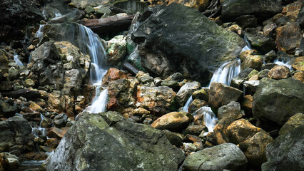 A mini waterfall with rushing water flows over large rocks covered in green and brown moss. Several wooden logs lie around, enhancing the beauty of the wild nature.