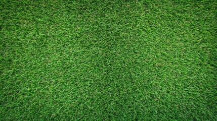 Vibrant Green Grass Texture Background