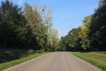 Asphalt road through a forest. Empty path scenic drive. Summer road trip through nature. Concept of a journey into the unknown.