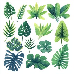 Piante e Vegetazione Tropicale-Plants,flowers and Trees-Exotic Vectors