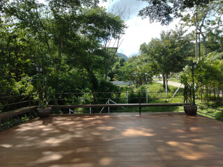 Mountain View Deck with Lush Greenery