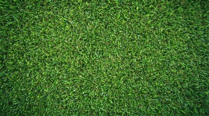 Obraz premium Lush Green Grass Texture for Background Use