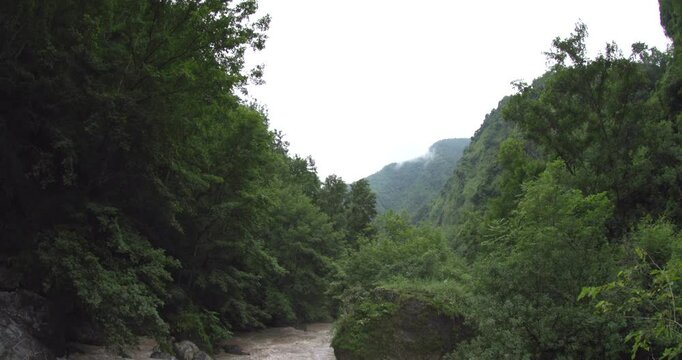 A rushing river in the mountains, surrounded by a coniferous forest Vertical Panning