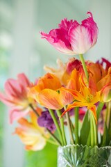 fresh tulips in the vase