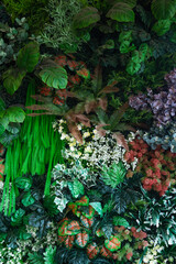 Full Frame of Green Leaves Pattern Background, Nature Lush Foliage Leaf Texture, tropical leaf.