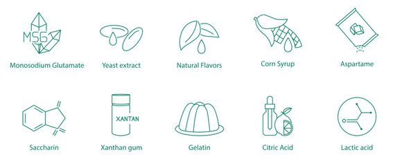 Monosodium Glutamate, Yeast Extract, Natural Flavors, Corn Syrup, Aspartame, Saccharine, Xanthan Gum, Gelatin, Citric Acid, Lactic Acid Vector Icon Set  