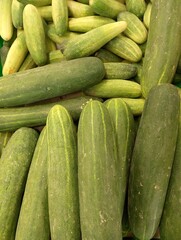 A close-up image of fresh green cucumbers with varying shades and patterns on their skins. Perfect for culinary, agricultural, or health-related projects.