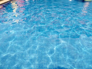A photo captures the shimmering surface of a pond reflecting the sunlight, creating a dance of light and shadow across the water.