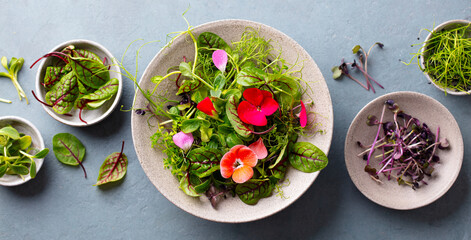 Edible flowers and green salad leaves, sprouts with in bowl. Grey background. Close up. Top view.